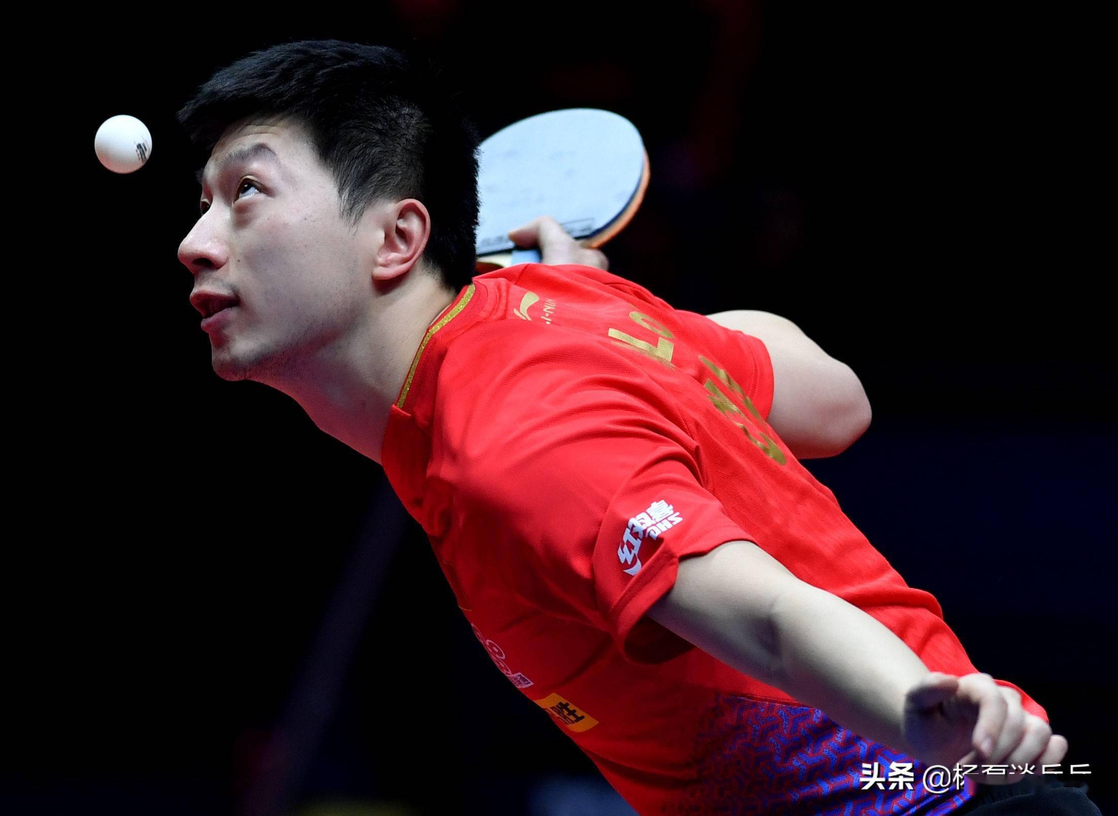 队在这一赛 队在这一赛